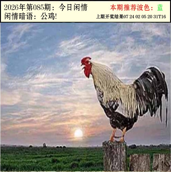 085期今日闲情2[图]