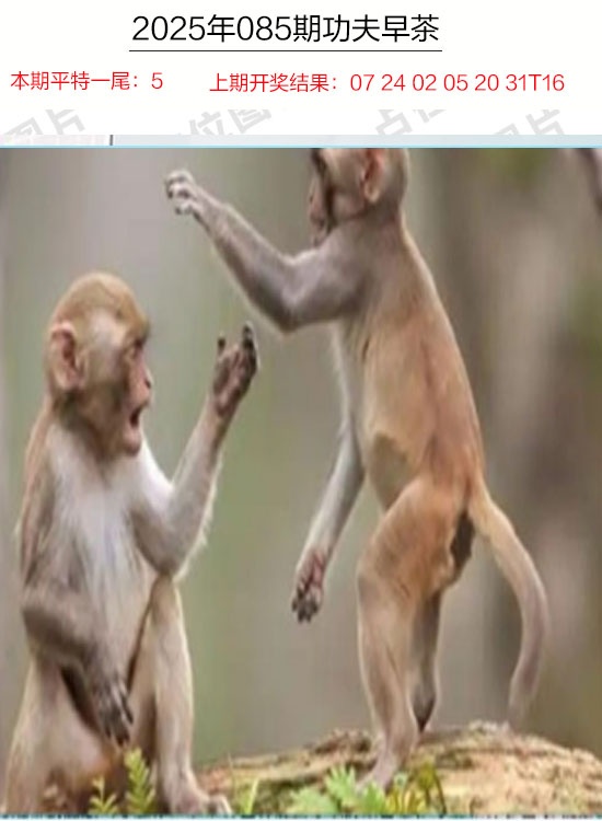 085期功夫早茶[图]