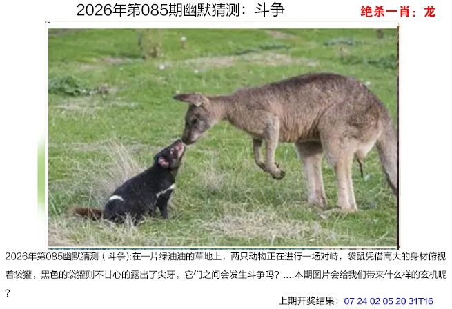 085期幽默猜测[图]